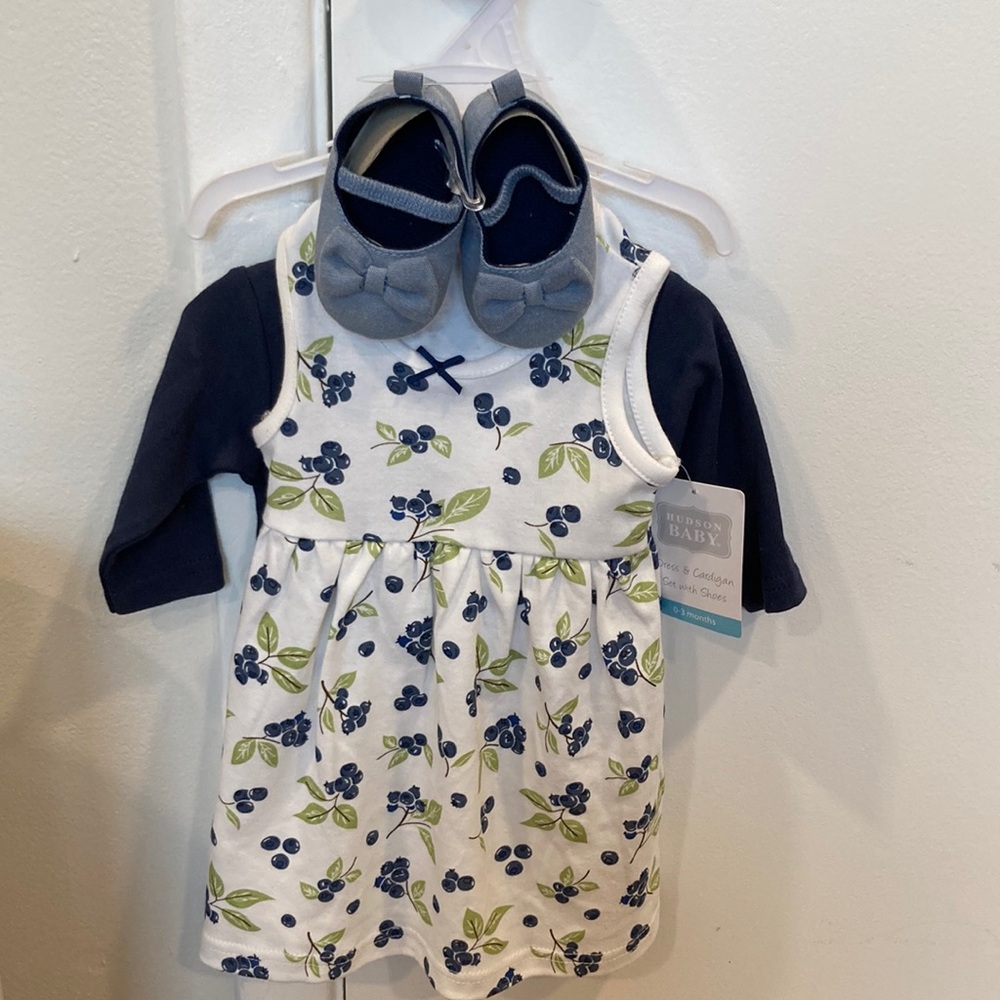 Hudson Baby Blueberry Dress